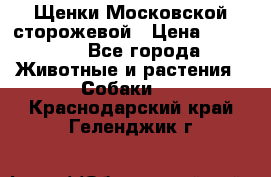 Щенки Московской сторожевой › Цена ­ 35 000 - Все города Животные и растения » Собаки   . Краснодарский край,Геленджик г.